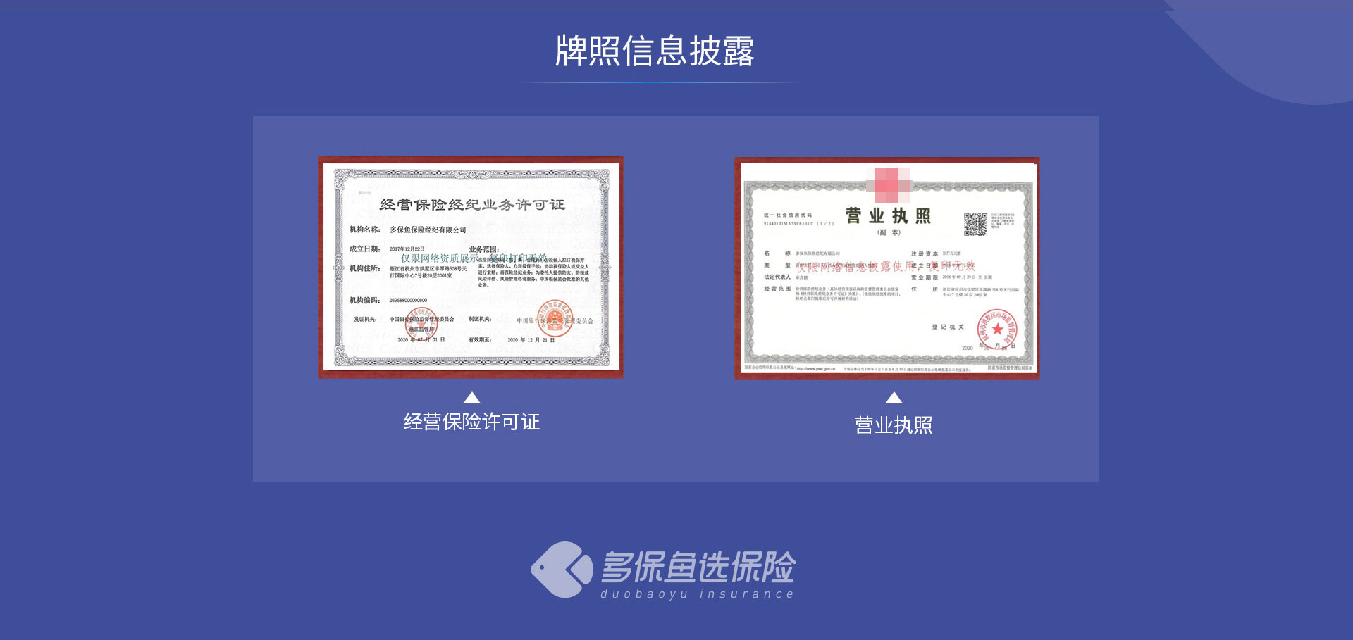 牌照信息披露