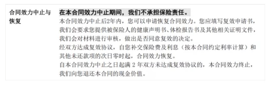 保險中的7個期限分別是什么意思