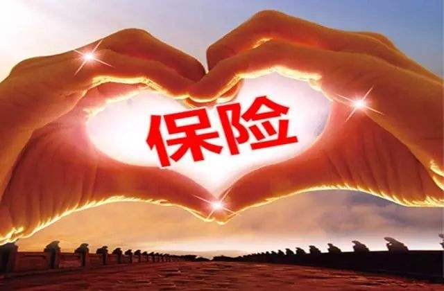 一年期保險(xiǎn)